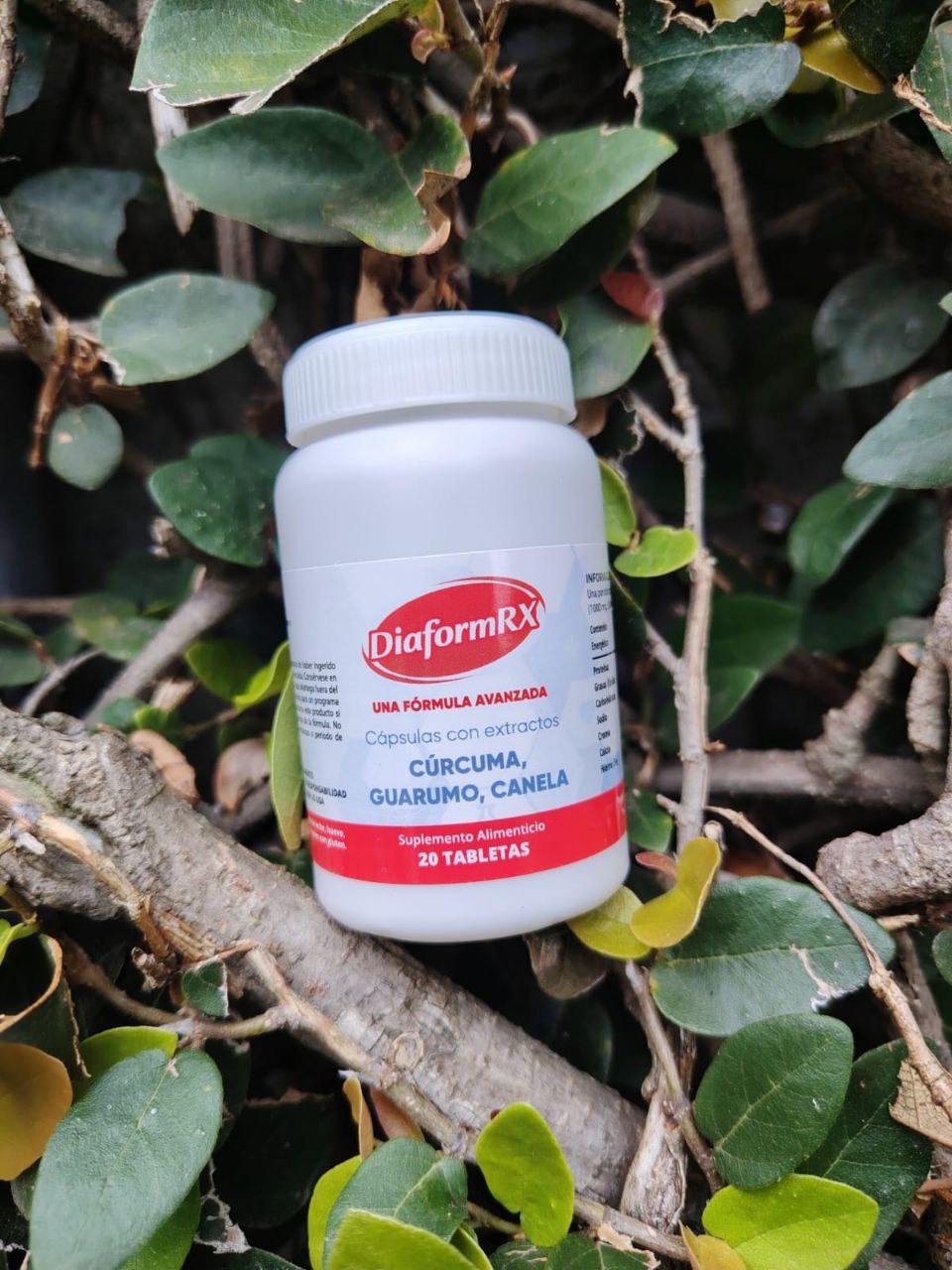 Objednávkový rozvrh Relvostellia